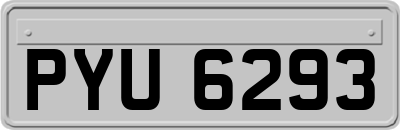 PYU6293