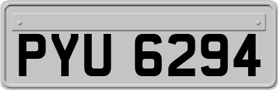 PYU6294