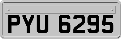 PYU6295