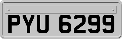 PYU6299