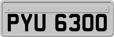 PYU6300