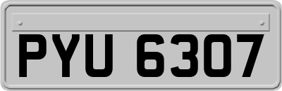 PYU6307