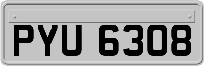 PYU6308