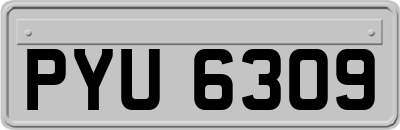 PYU6309