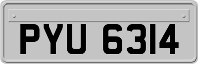 PYU6314