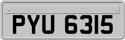 PYU6315