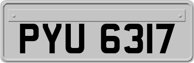 PYU6317