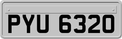 PYU6320