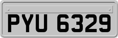 PYU6329