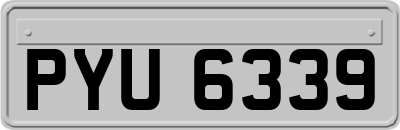 PYU6339