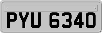 PYU6340