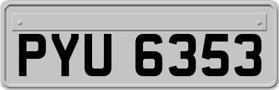 PYU6353