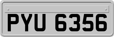 PYU6356