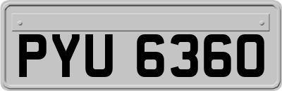 PYU6360