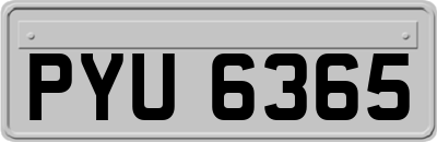 PYU6365