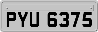 PYU6375