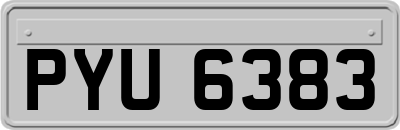 PYU6383