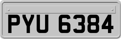 PYU6384