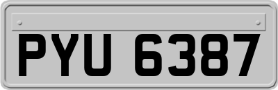 PYU6387