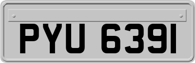 PYU6391