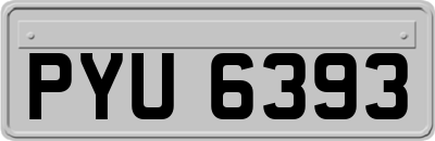 PYU6393