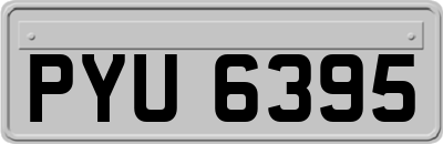 PYU6395