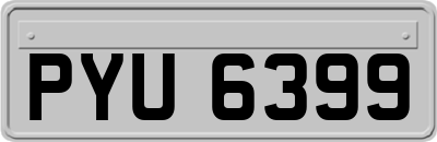 PYU6399