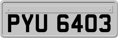 PYU6403