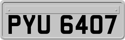 PYU6407