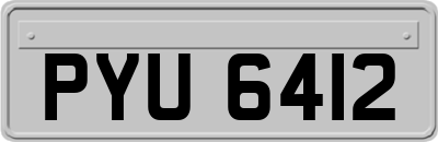 PYU6412