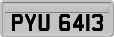 PYU6413