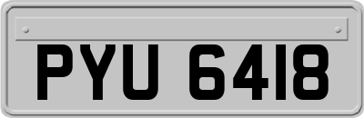 PYU6418