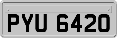 PYU6420