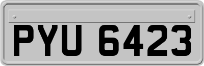 PYU6423