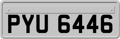 PYU6446