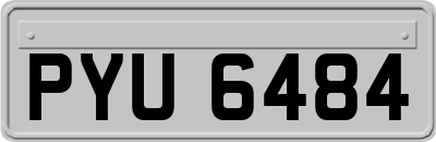 PYU6484