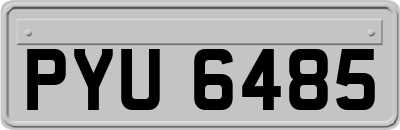 PYU6485