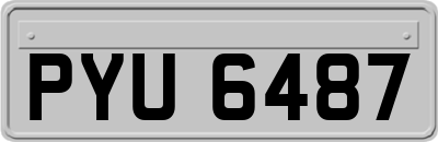 PYU6487