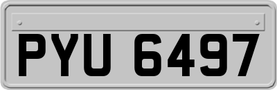 PYU6497