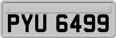 PYU6499