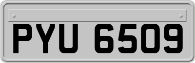 PYU6509