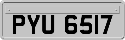 PYU6517