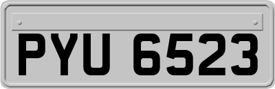 PYU6523