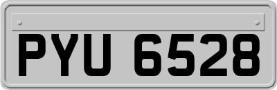 PYU6528