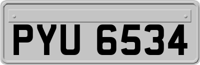 PYU6534