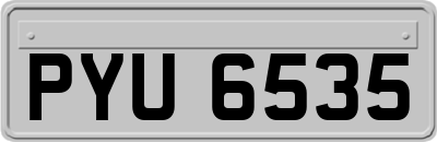 PYU6535