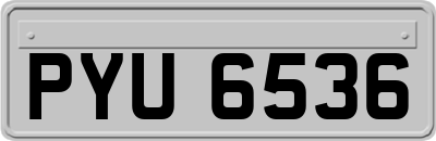 PYU6536