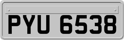 PYU6538