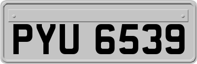 PYU6539