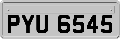 PYU6545